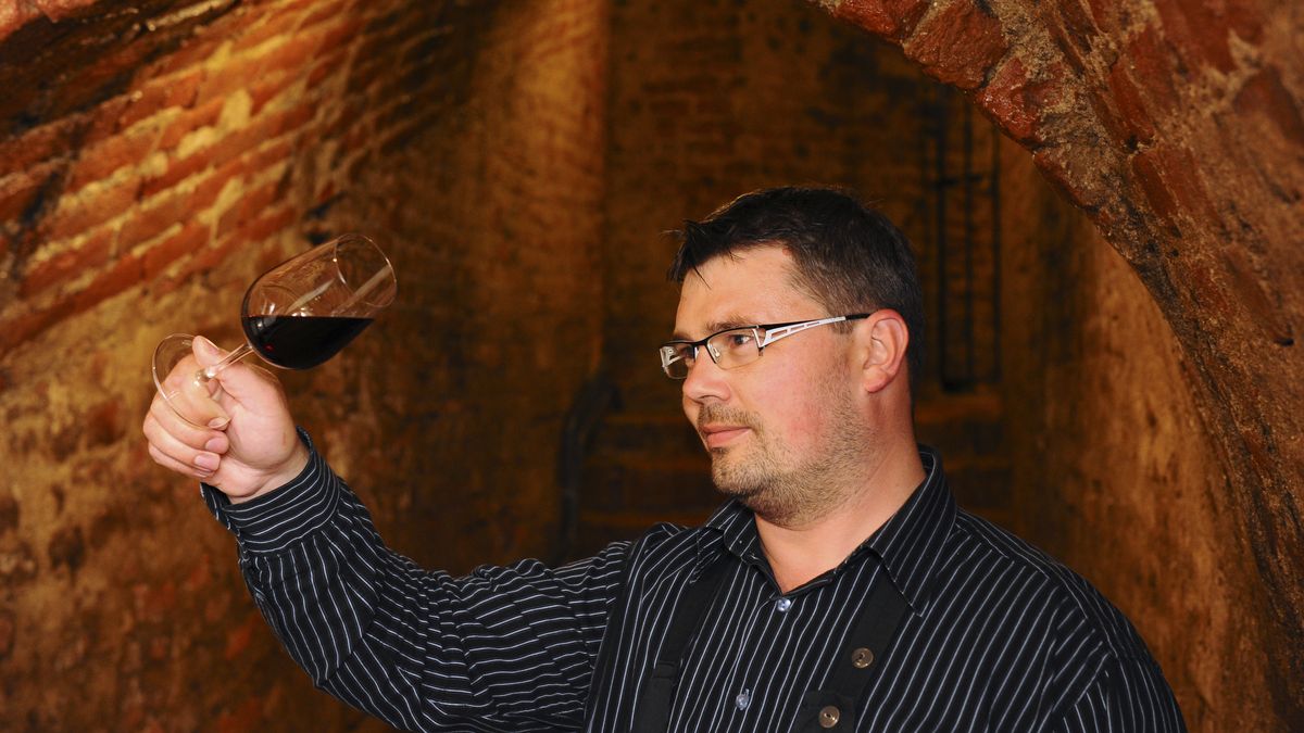 Vinaři přihlašují nejčastěji Ryzlink rýnský, říká someliér Salonu vín